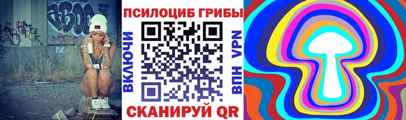 хочу   Лысково  Псилоцибиновые грибы Psilocybine cubensis 