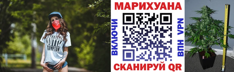 Каннабис план наркота Лысково